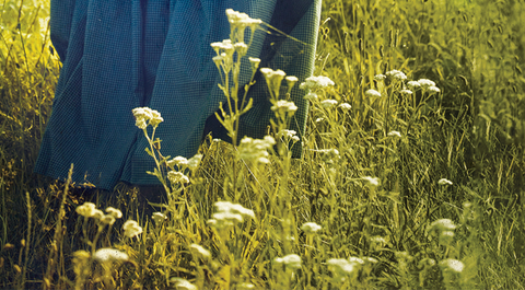 "The Last Taboo" by Martine Leavitt