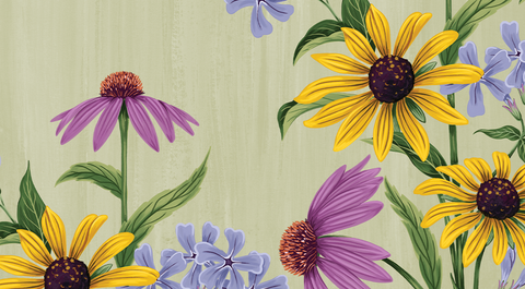 Reflections on Back to School by Leanne Lieberman