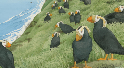 Adventures in Nature