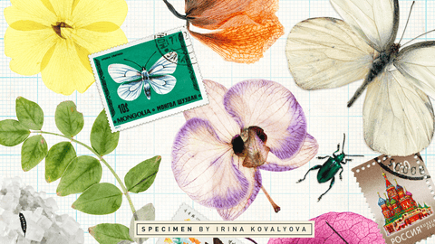 Irina Kovalyova’s Kobo Emerging Writer Prize Speech