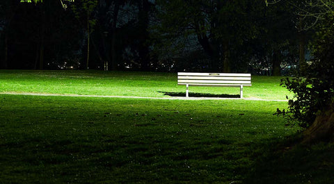 The Poet's Point of View: Jen Currin