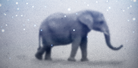 Double Dutch at Paul Phillips Hall – Guest Post by Laura Trunkey