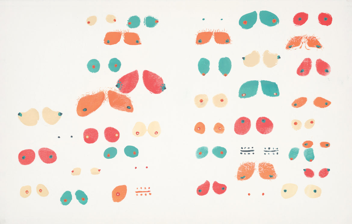 The Making of Boobies by Nancy Vo