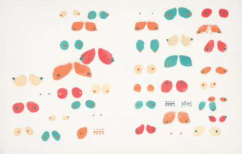 The Making of Boobies by Nancy Vo