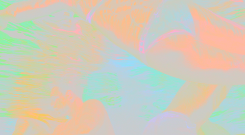 "On Pride and Precarity" by Kathy Friedman