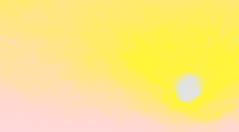 "Creation and Survival" by Brandi Bird