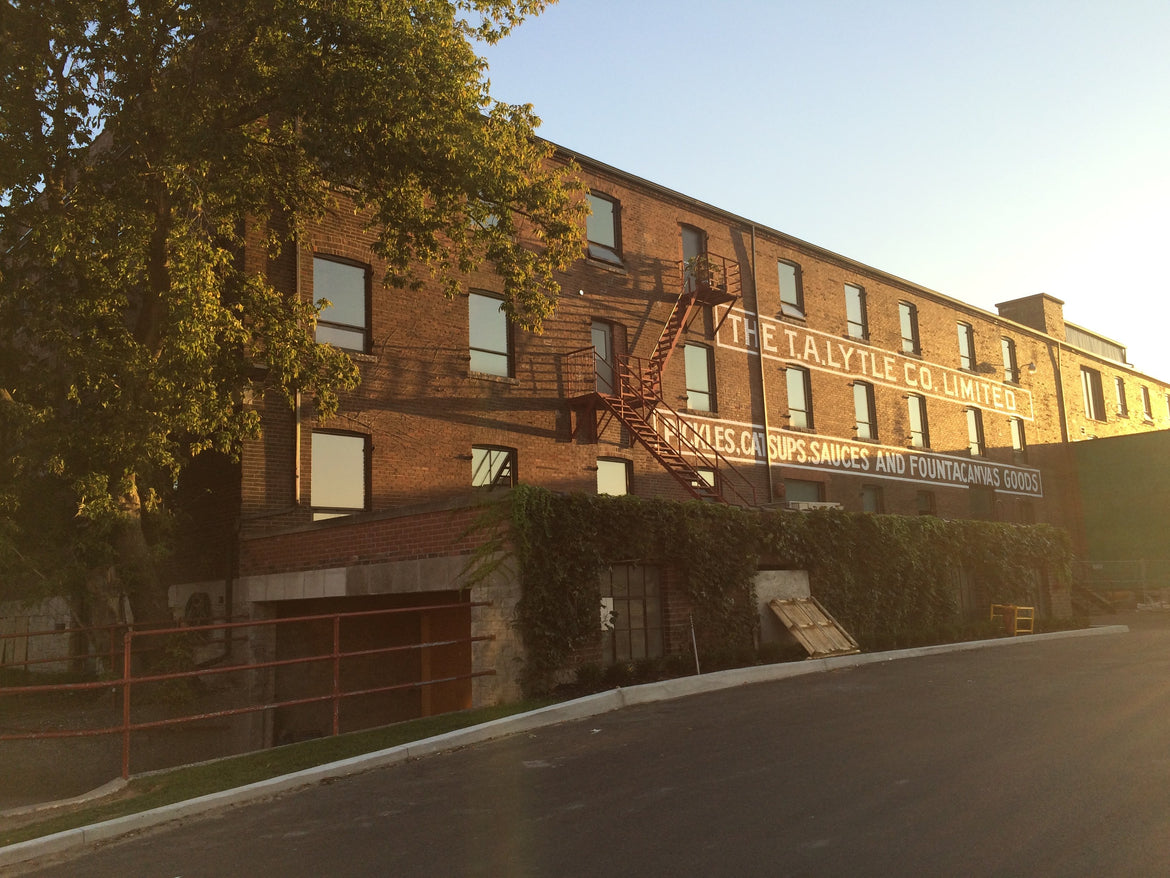 Anansi acquires world rights for Me, Myself, They: The Future Is Non-Binary