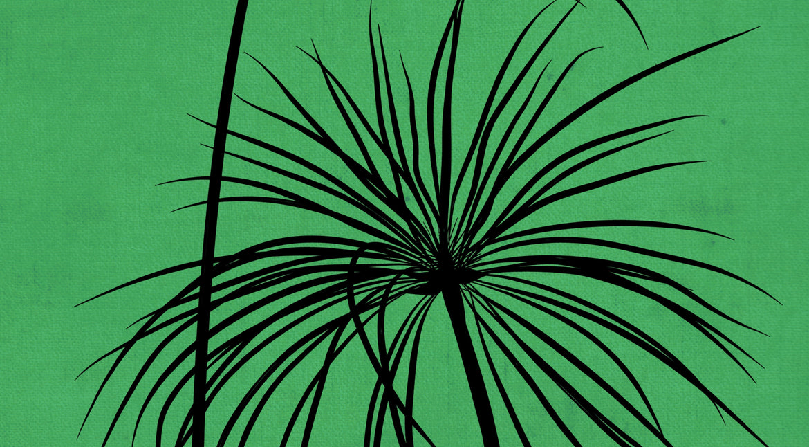 New Vocabularies for Queer Lives with Iryn Tushabe