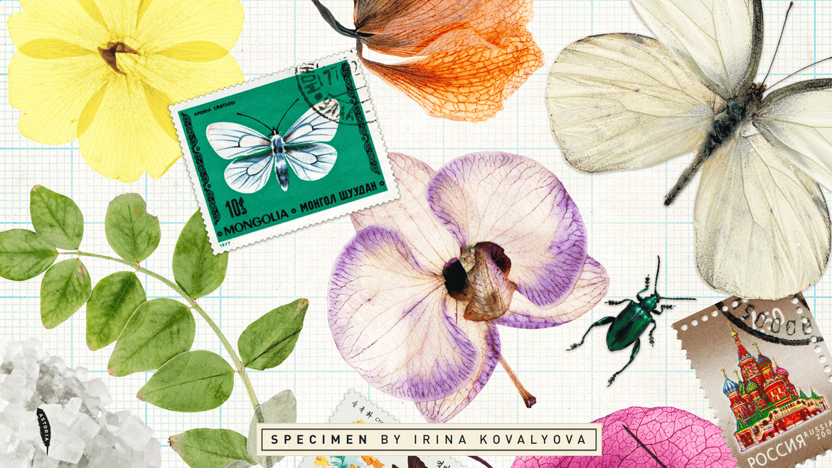 Irina Kovalyova’s Kobo Emerging Writer Prize Speech