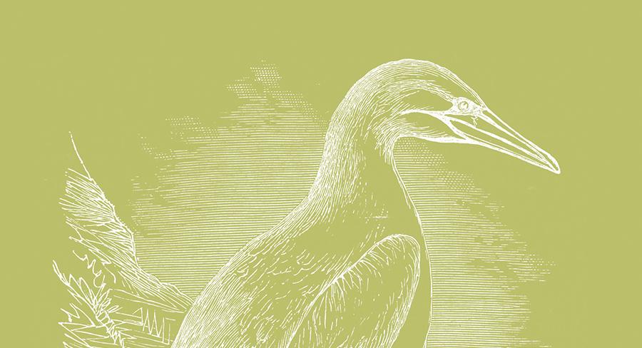 The Poet's Point of View: Karen Solie