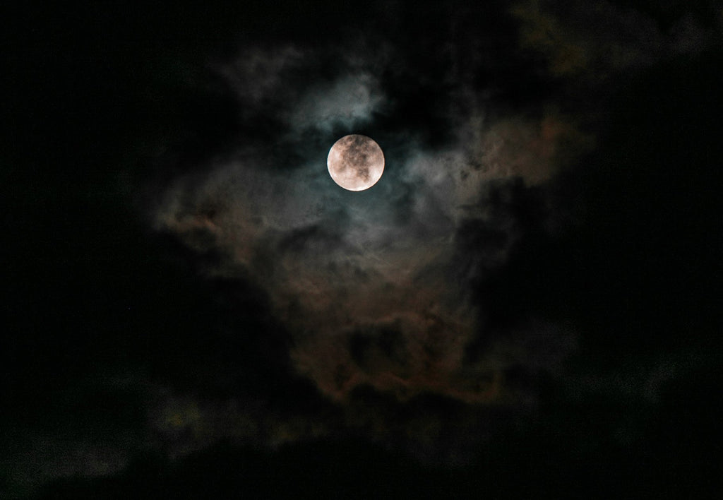 Blood Moon by Lynn Crosbie