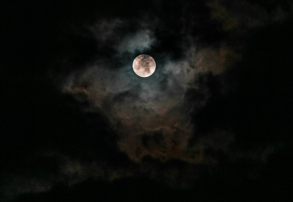 Blood Moon by Lynn Crosbie