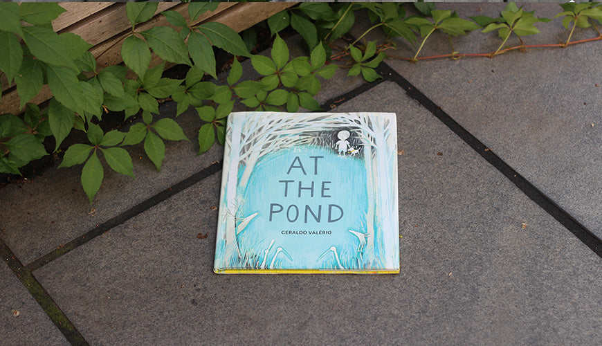 Wordless Picture Books