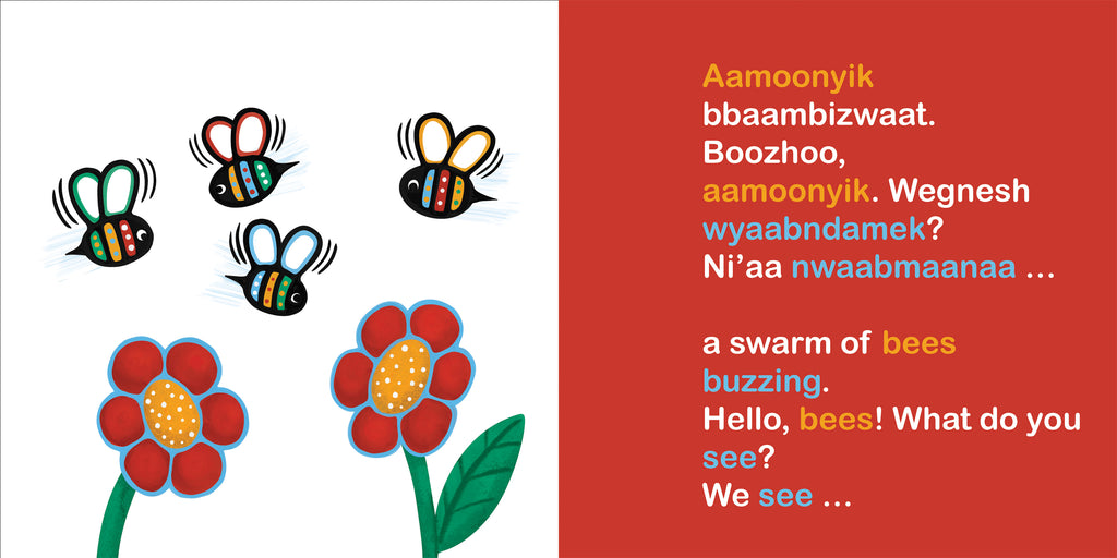  Four bees fly above two red flowers with yellow centers. There are motion lines around the bees’ wings to show how quickly they are buzzing around. Text: “Aamoonyik bbaambizwaat. Boozhoo, aamoonyik. Wegnesh wyaabndamek? Ni’aa nwaabmaanaa… a swarm of bees buzzing. Hello, bees! What do you see? We see…” 