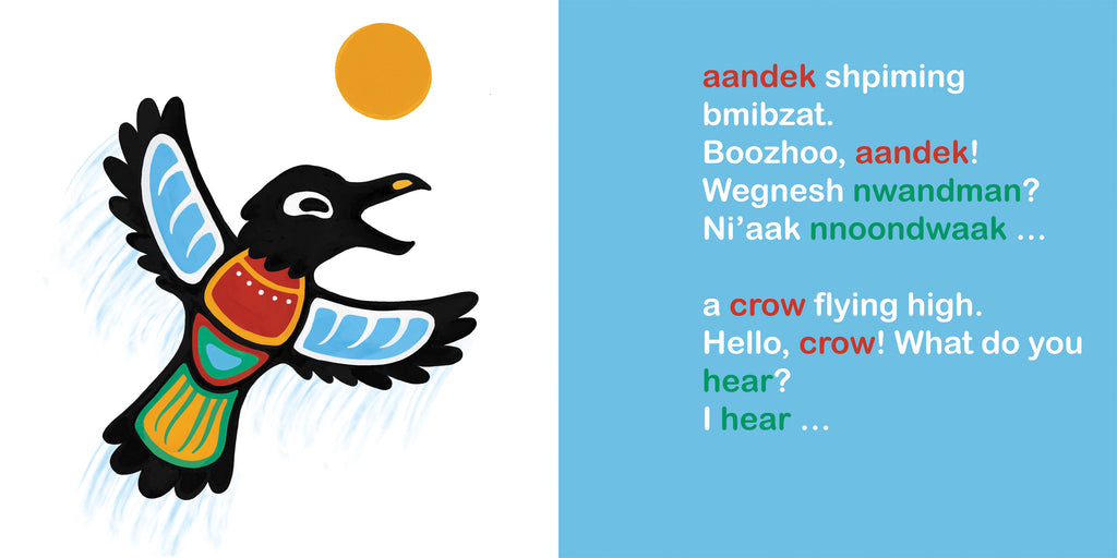  A crow flies upwards, toward an orange sun, with its wings extended. Motion lines are drawn on the wings to show how fast it rises. The crow’s mouth is open. Text: “aandek shpiming bmibzat. Boozhoo, aandek! Wegnesh nwandman? Ni’aak nnoondwaak…a crow flying high. Hello, crow! What do you hear? I hear…” 