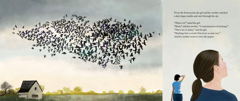  There are two illustrations, the first extended past half the page and the second beside it. The first is a large one of a white house with a black roof in the foreground of the illustration, and a line of trees bordering a field can be seen in the distance behind the house. A flock of starlings grouped like a big cloud fly through the dark cloudy sky above the house. In the second smaller illustration beside that, both the girl and her mother look up toward the sky. Text states they watch the starlings. 