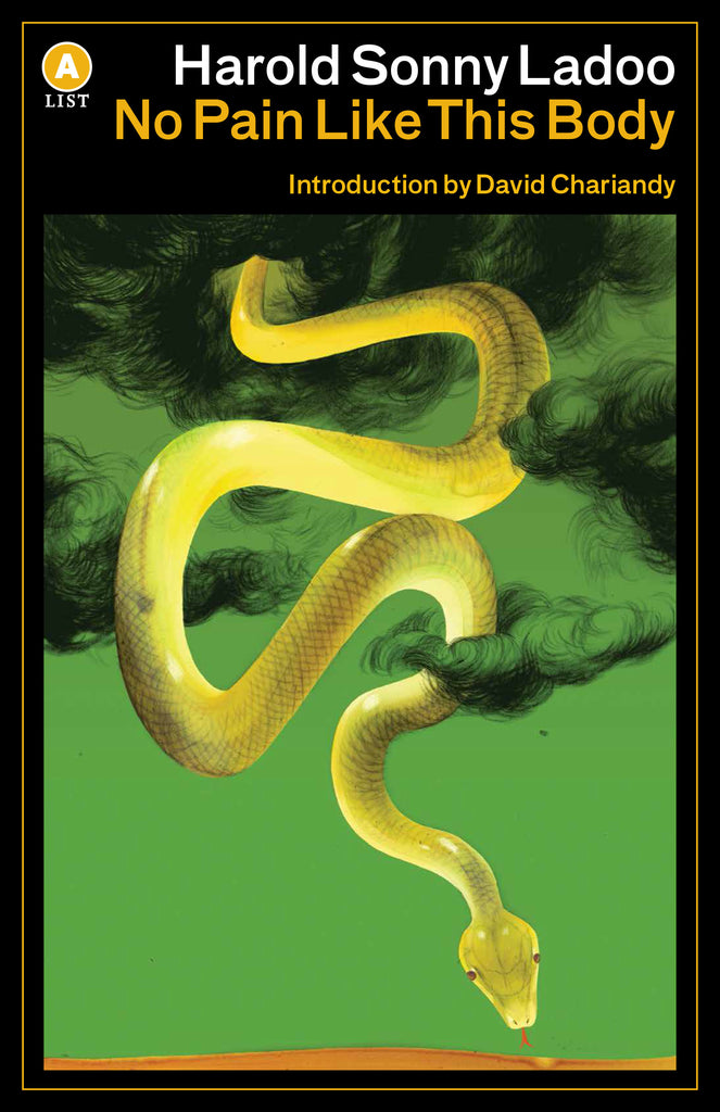  No Pain Like This Body 