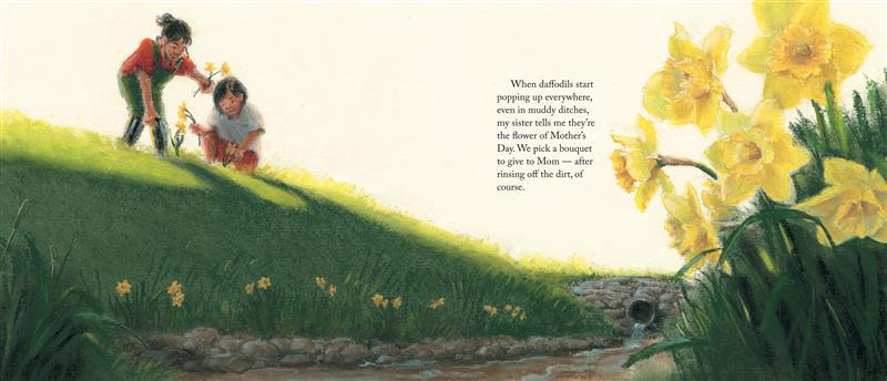  A boy and his big sister pick daffodils on a sunny, grassy hillside that leads down to a ditch where water flows from a pipe. More daffodils grow next to the rocks along the edge of the ditch. The boy and his sister have medium skin tone and black hair. Text: When daffodils start popping up everywhere, even in muddy ditches, my sister tells me they’re the flower of Mother’s Day. We pick a bouquet to give to Mom — after rinsing off the dirt, of course. 
