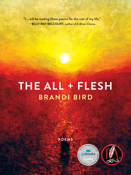  Cover: The All + Flesh, poems by Brandi Bird. A vibrant, impressionist-style painting of a golden sunset over a red horizon. The sky blends from teal at the top to a bright yellow around the white sun, which reflects like a flaming spotlight on the ground. The brush strokes are cross-hatched in the sky, giving the appearance of downward motion, while the ground appears sponged. 