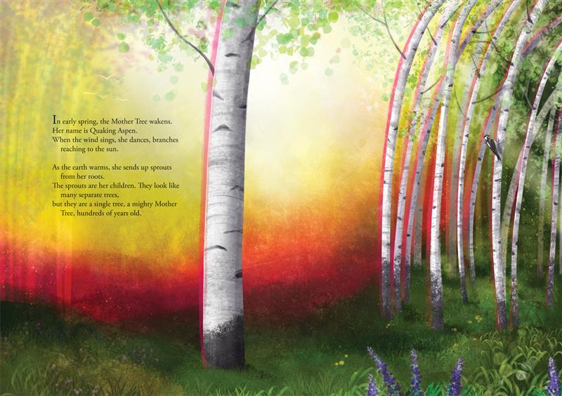  An aspen tree trunk with pale striped bark and green foliage grows up from green grass toward the sky. The sky is yellow and red. The trunk bends in the wind. A little ways away, several more aspens grow in a cluster. Their trunks are thinner than the tree on the previous page, and they bend more dramatically in the wind. The text talks about Mother Aspen waking in the spring and sending sprouts up from her roots that will grow into more trees, in fact all part of one tree. 