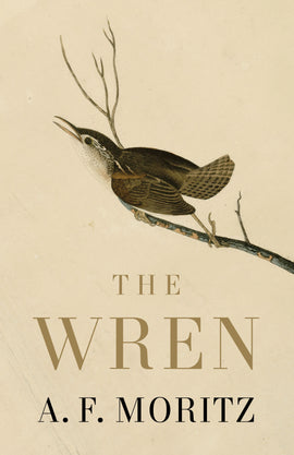  The Wren 
