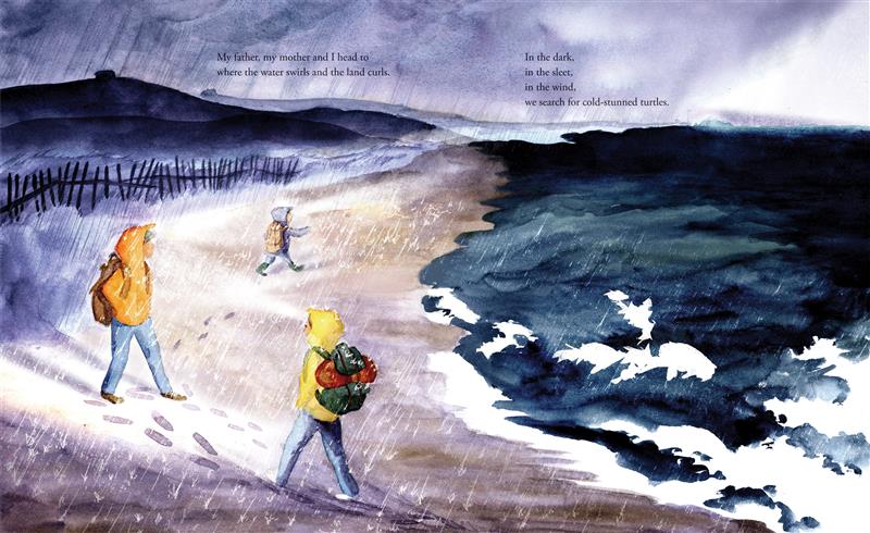  Taking Turns with Turtles 