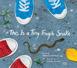  This Is a Tiny Fragile Snake. Poems by Nicholas Ruddock. Pictures by Ashley Barron. A small black and yellow snake slithers on pavement among pebbles, weeds and a yellow leaf. The toes of two pair of shoes — blue and red — bracket the snake to show two people looking down at the snake. 