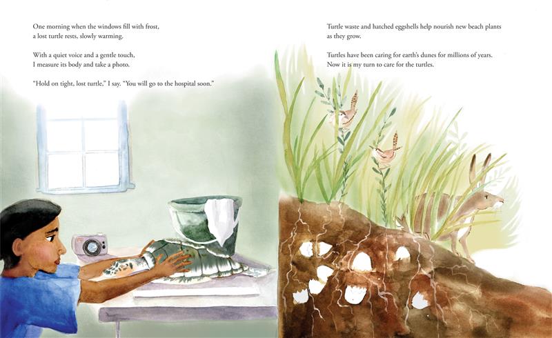  Taking Turns with Turtles 