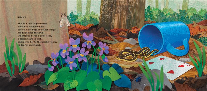 A tiny black-and-yellow snake slithers out of a blue cup, past a playing card, toward a clump of violets growing on the forest floor. Trees rise around her; the ground is covered with leaves. A poem called 