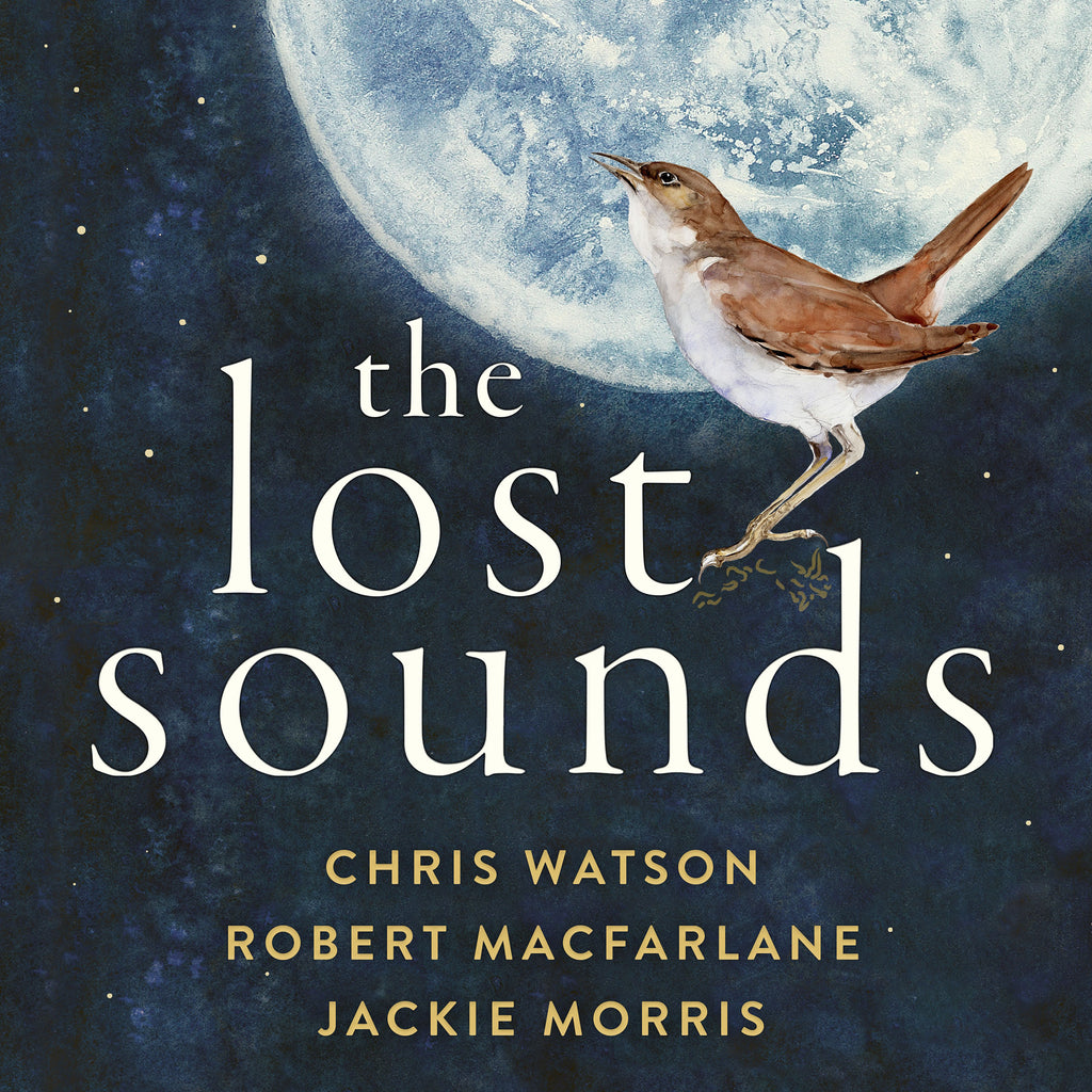  The Lost Sounds 