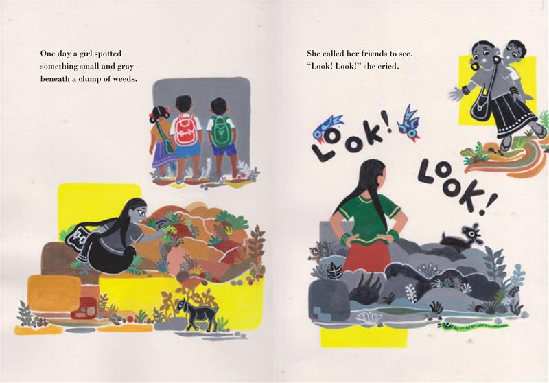  Image 1: A girl with black braids crouches and pushes weeds aside. Above, three children with school bags are seen from behind. They have varying skin tones and black hair. Text: One day a girl spotted something small and gray beneath a clump of weeds. Image 2: The girl stands amid a pile of dirt and stones, her back to the reader and hands on her hips. The words “Look! Look!” appear in large letters. At top, two children look on in surprise. Text: She called her friends to see. “Look! Look!” she cried. 
