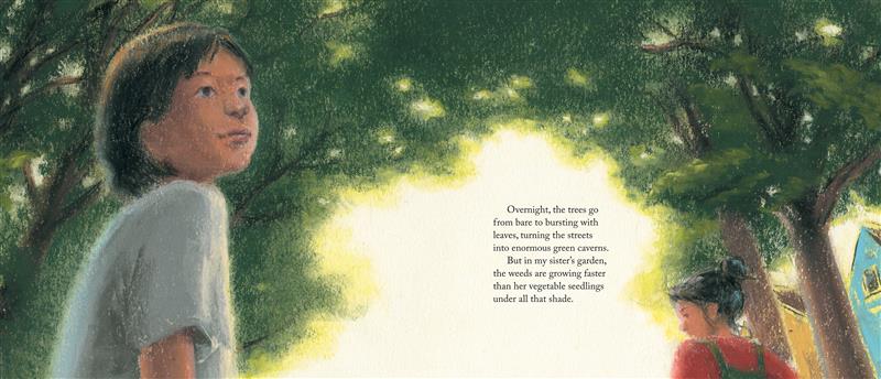  In the foreground, a boy looks toward the reader as he gazes up at trees that form a green arch over his head. His sister is in the background with her back to the reader, though her face can be seen in profile. They both have medium skin tone and black hair. Text: Overnight, the trees go from bare to bursting with leaves, turning the streets into enormous green caverns. But in my sister’s     garden, the weeds are growing faster than her vegetable seedlings under all that shade. “Want to help?” she asks. 