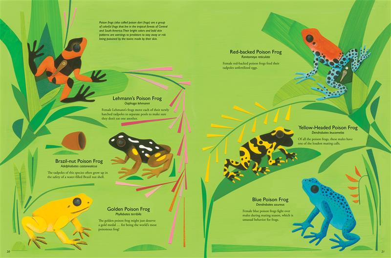  A black and orange Lehmann’s poison frog, a black Brazil-nut poison frog with brown legs, white spots on its back and yellow spots on its legs, a yellow golden poison frog with black feet, a red-backed poison frog, with a red body and blue legs with black spots, a yellow-headed poison frog, covered in a black and yellow pattern, and a blue poison frog with dark blue spots on its back sit on the ground and different shaped leaves. Text states their scientific names, poison, mating calls, and tadpoles. 