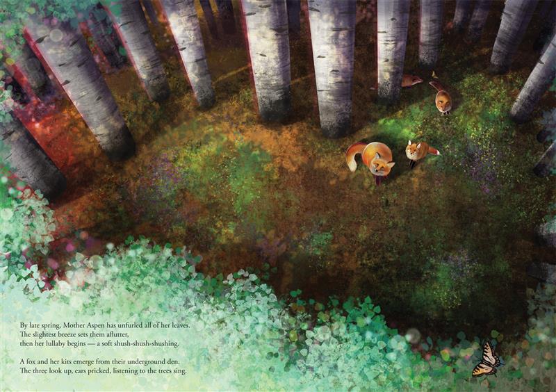  From a bird’s eye view, we look down at a clearing in the forest through green foliage. Four foxes look up from the forest floor as they emerge from the shade of the trees. An orange butterfly perches on some aspen leaves. The text talks about Mother Aspen’s leaves shush-shushing in the late spring breeze, and the foxes emerging from their den to listen to the trees sing. 