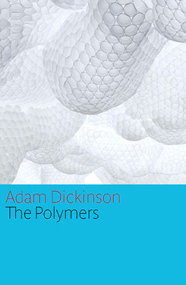  The Polymers 