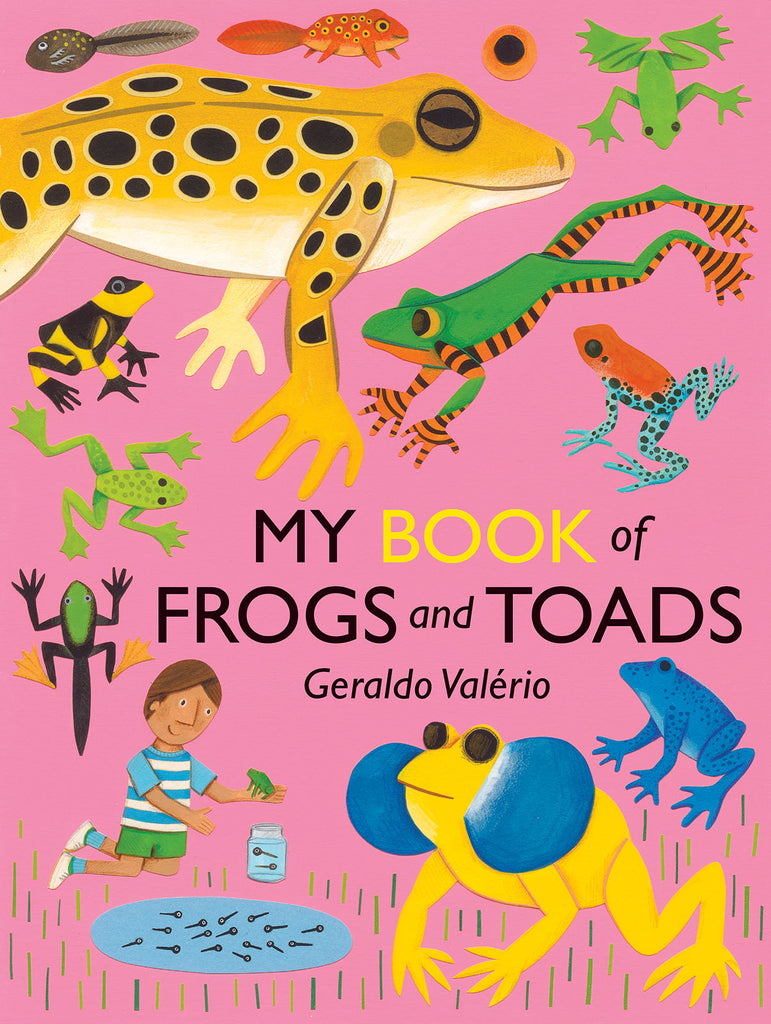  Cover: My Book of Frogs and Toads, by Geraldo Valerio. The bright pink cover is filled with an assortment of frogs and tadpoles in different colours, patterns, and sizes leaping and swimming. Underneath the title, a child with medium skin tone and brown hair, who wears a blue-and-white striped shirt and green shorts, kneels next to a pond full of tadpoles while holding a green frog in one hand. There is a small, water-filled jar beside him that holds two of the tadpoles. 