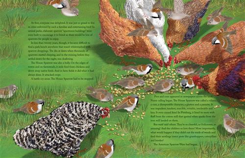  The Triumphant Tale of the House Sparrow 