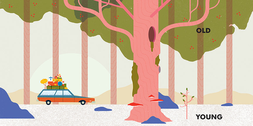  A station wagon with suitcases and vacation supplies on the roof drives past trees. One tree is tall and wide. It has a hole in its trunk, mushrooms on the bottom of the trunk, and moss growing on the sides. Beside it is the word “old.” A small sapling is beside the old tree. The word beside the sapling reads “young.” 