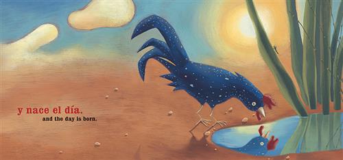  A blue rooster with white spots stands beside a puddle of water in the ground. It leans down to the water. Tall grass is beside it. The sun shines with a few clouds in the sky. Text: and the day is born. Text is also in Spanish. 