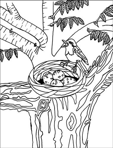  The Joyful Living Colouring Book 