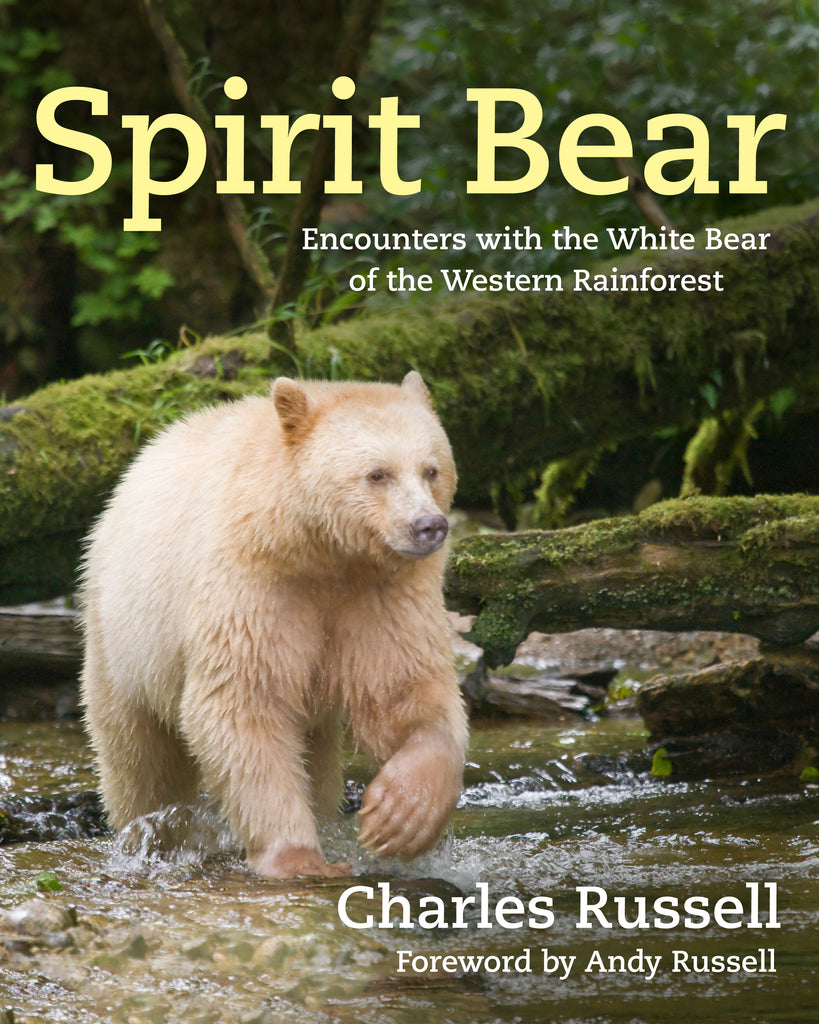  Spirit Bear 