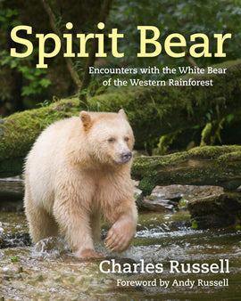  Spirit Bear 