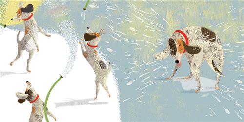  This image is a series of scenes. In the first, a dog is on its hind legs being sprayed with water. In the second the dog reaches up to the dripping hose. In the third, the dog and the hose reach up into the air. In the fourth, the dog shakes itself and water flies out in every direction. 
