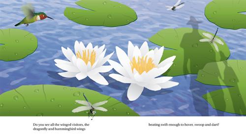  Lake: A See to Learn Book 