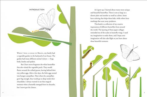  A grey and white butterfly is on a green leaf. Behind it are five yellow dots. Caterpillars and cocoons are on different leaves. A grey and white butterfly flies in the air. Text is about a childhood memory of growing up in Brazil and having a vegetable garden. The memory of the butterflies in the garden made this person learn about them when they grew up. The book is to show the “creative impressions” this person has from their imagination to help others learn about butterflies and use their imaginations. 