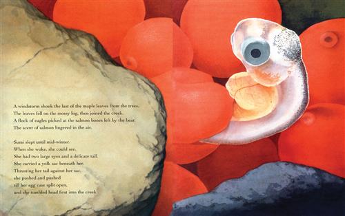  A fish with an orange sac comes out of an egg. Text: A windstorm shook the last of the maple leaves from the trees. A flock of eagles picked at the salmon bones left by the bear. The scent of salmon lingered in the air. Sumi slept until mid-winter. When she woke, she could see. She had two large eyes and a delicate tail. She carried a yolk sac beneath her. Thrusting her tail against her sac, she pushed and pushed till her egg case split open, and she tumbled head first into the creek. 