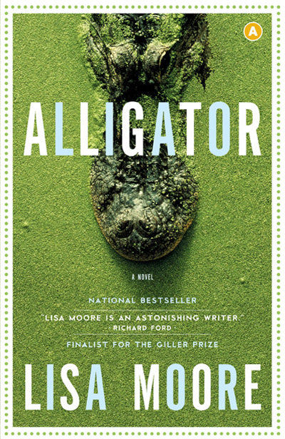  Alligator 
