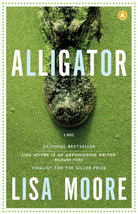  Alligator 