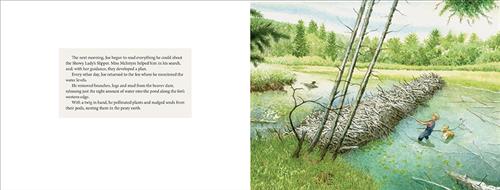  A pond has a large dam across it. A boy with light skin tone and a dog stand in the water. The boy pulls a stick from the dam. The pond is surrounded by grass, trees, and bushes. The text says the next morning Joe read all he could about the Showy Lady’s Slipper. He and Ms. McIntyre develop a plan. He checks the water levels at a fen and removes branches, logs, and mud from a beaver dam. It releases water into a pond along the fen. He uses a twig to pollinate plants and place seeds into the peat. 