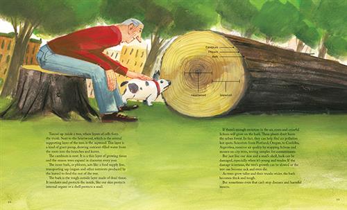  A Forest in the City 